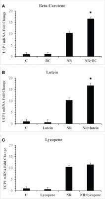 Naringenin and β-carotene convert human white adipocytes to a beige phenotype and elevate hormone- stimulated lipolysis